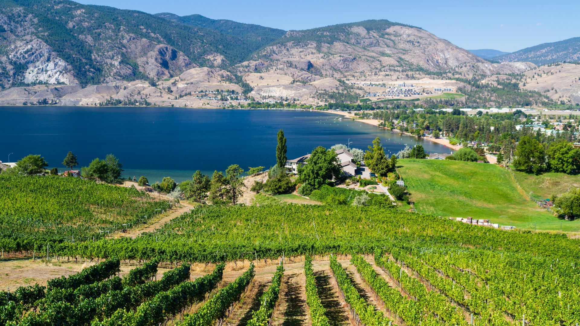 Domaine Rosé Premium AOC Bandol — Bastide vue mer & chai climatisé