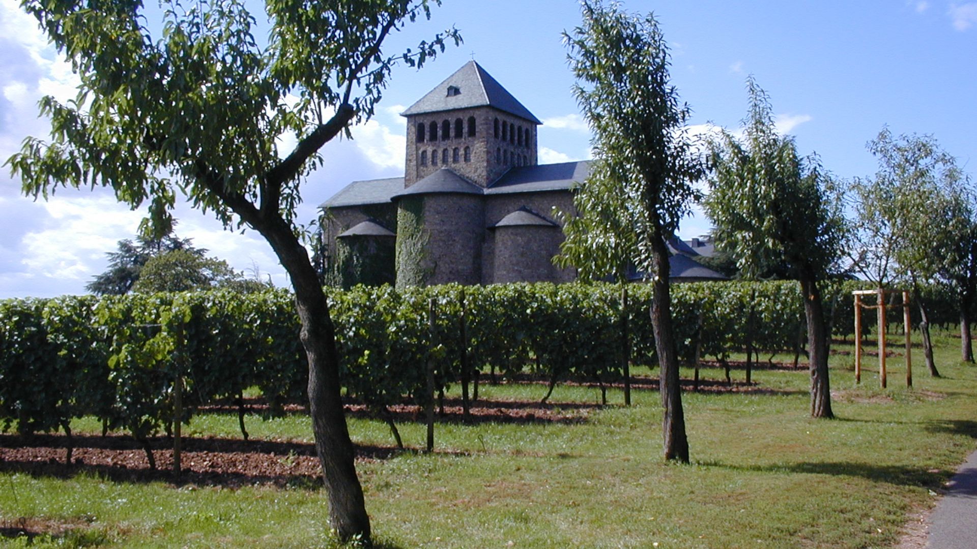 Vignoble Grand Cru d'Alsace — Village classé de Riquewihr