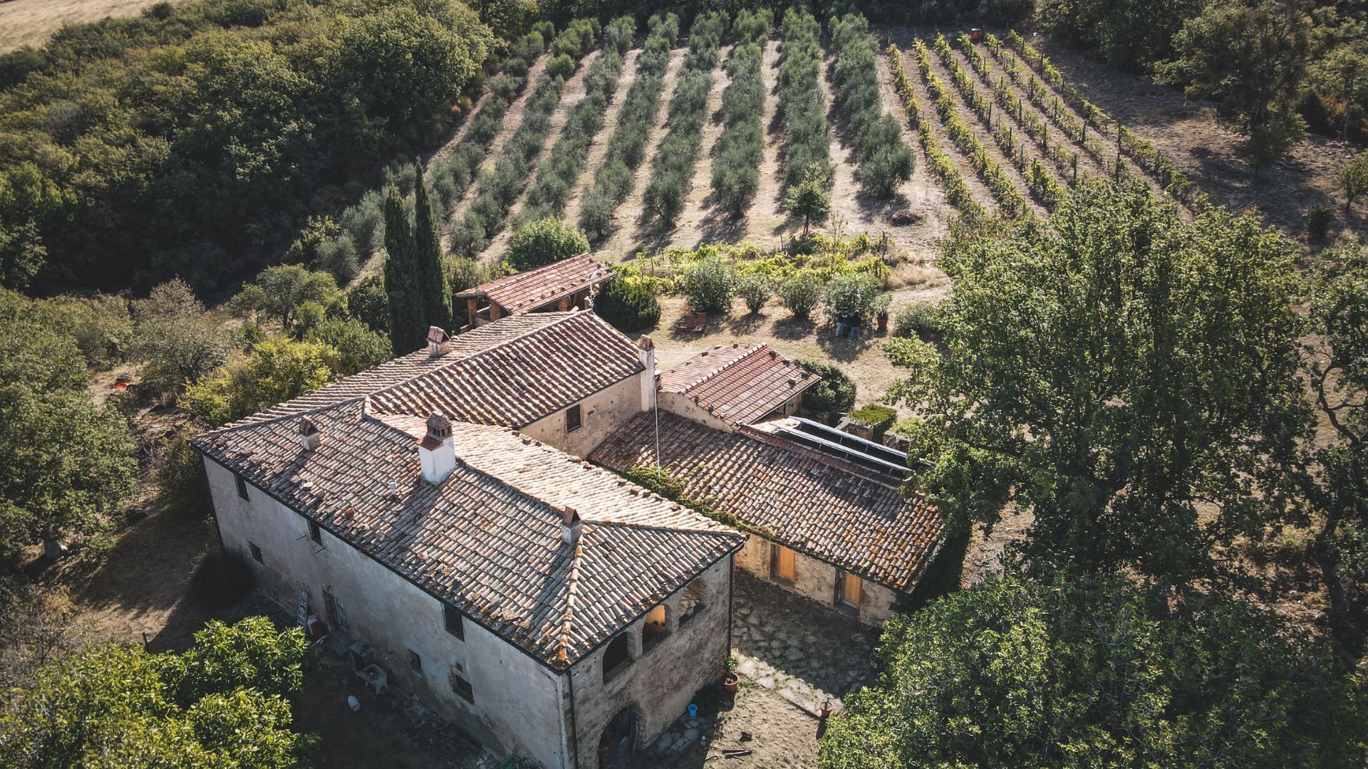 Château Côtes de Bordeaux — 50 ha, chai modernisé & château XIXe